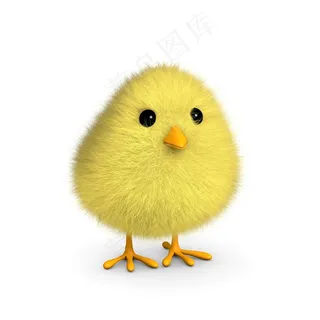 可爱的小鸡高清图片