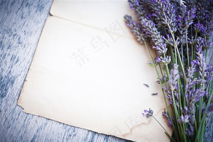 牛皮纸薰衣草鲜花图片