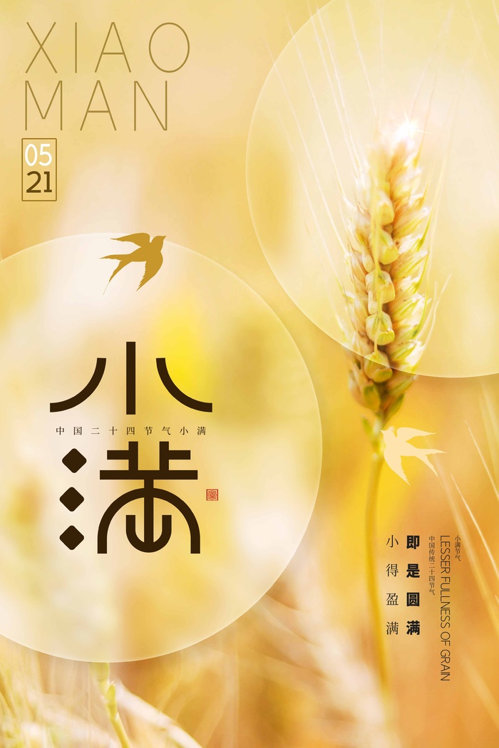 小满 小满活动宣传psd模版下载