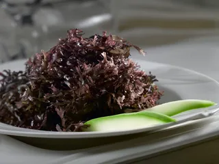 LCSC1502凉调海木耳32