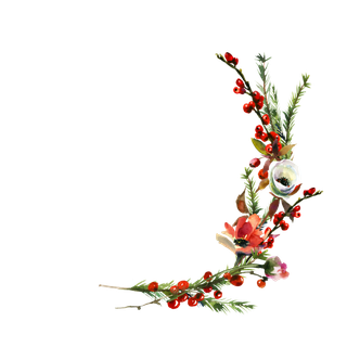 高清免扣手绘花卉