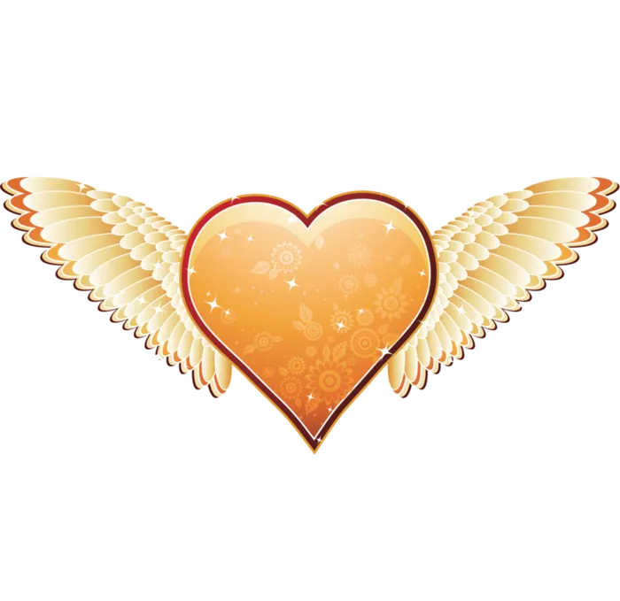 翅膀爱心情人节
