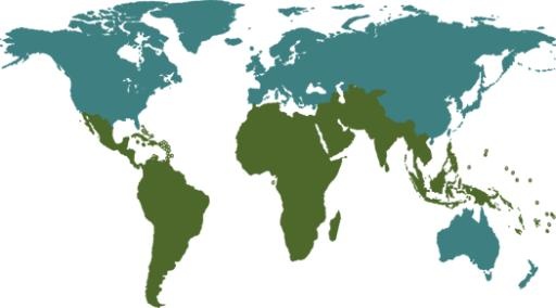 世界地图免抠(525x292)