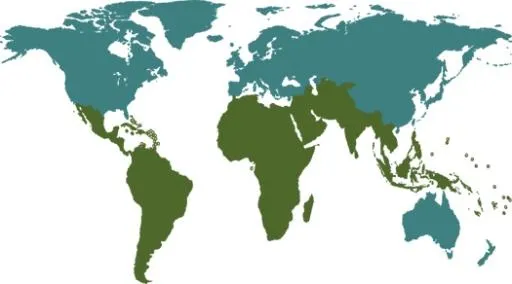 世界地图免抠(525x292)