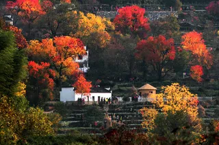 安徽塔川风景图片-第1张