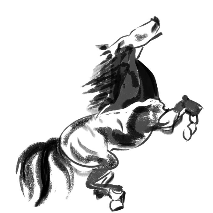 中国风水墨骏马