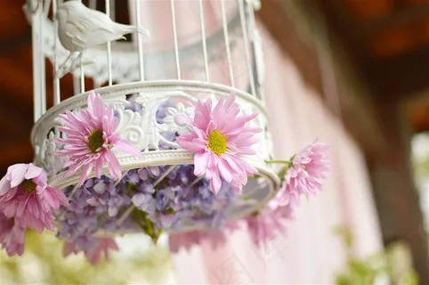 悬挂着的精美鸟笼子