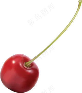 樱桃免抠素材 (38)
