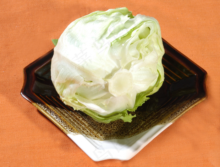  圆白菜 