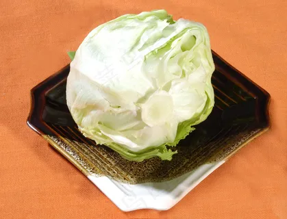 圆白菜   圆白菜