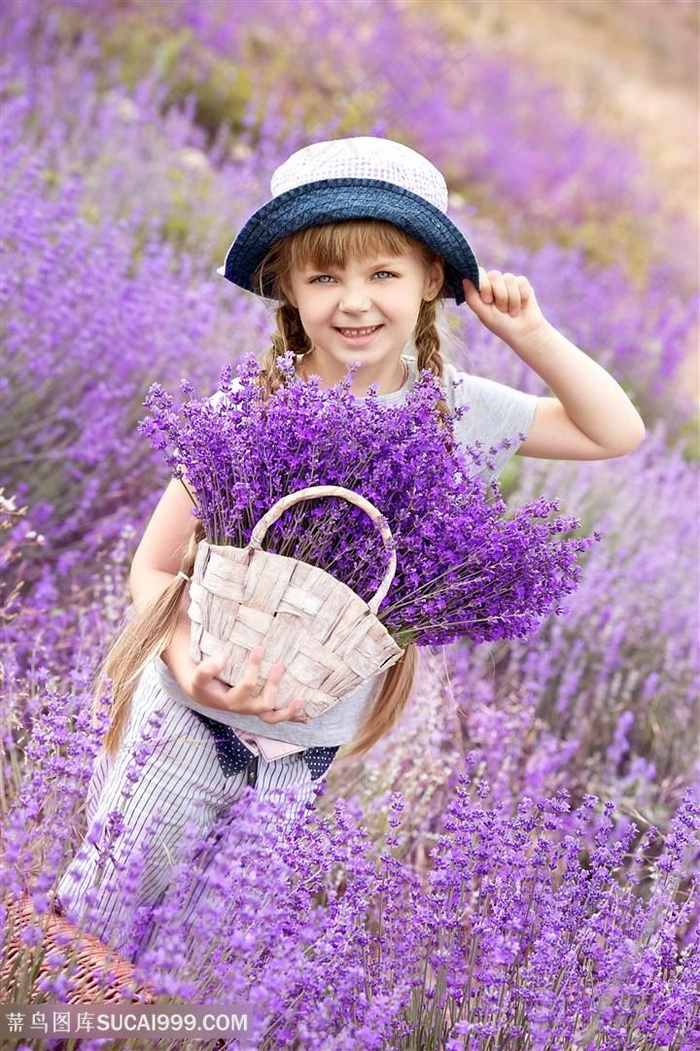 拿着一篮子薰衣草的小女孩儿童图片