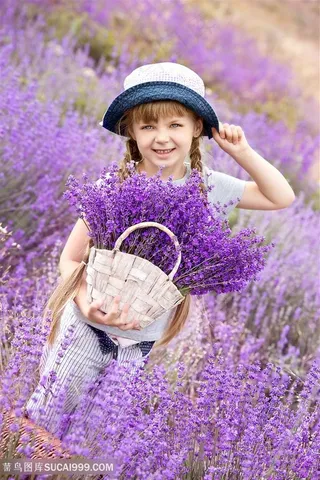 拿着一篮子薰衣草的小女孩儿童图片