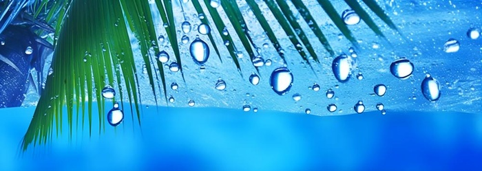 夏日椰树水珠冰爽背景(7360x2624)
