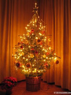 暖色灯光圣诞树