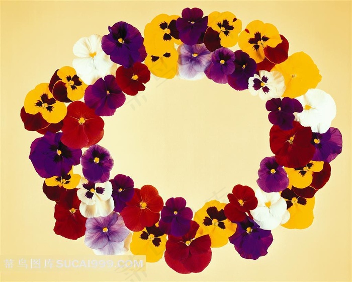 紫色黄心鲜花组成的花边边框素材浅黄色背景