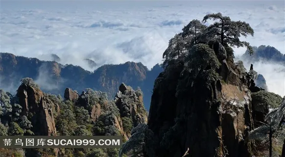 安徽黄山奇松风景素材 安徽黄山奇松风景素材