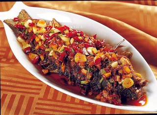 CXC00975干煸洛河鲤鱼