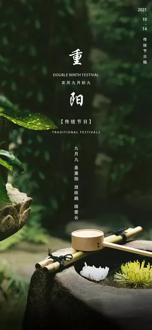 简约重阳节敬老海报