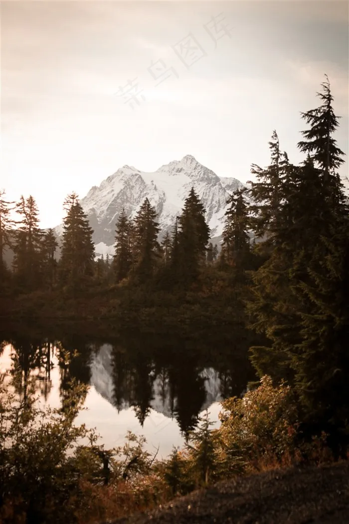 山峰森林高清风景图片