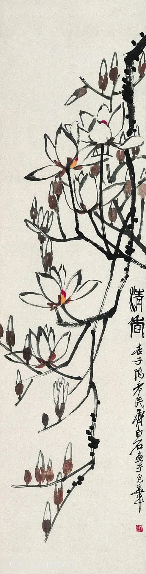齐白石花朵树枝植物国画图片