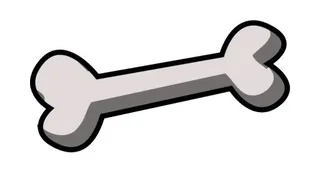 骨头 PNG免抠