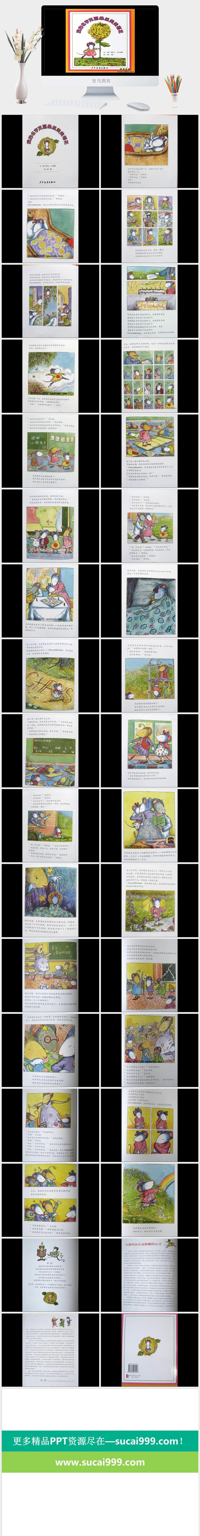 我的名字克丽桑斯美美菊花幼儿园绘本故事ppt模版