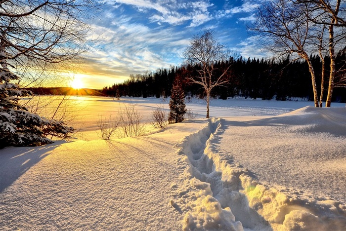 阳光下的雪景