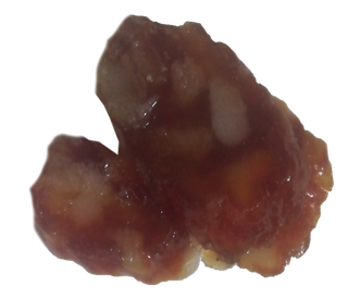 广味香肠广式切片风味甜肠免抠摄影元素素材