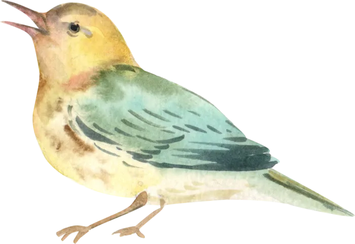 插画免抠高清素材