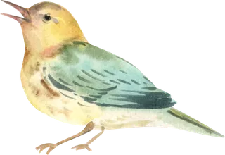 插画免抠高清素材