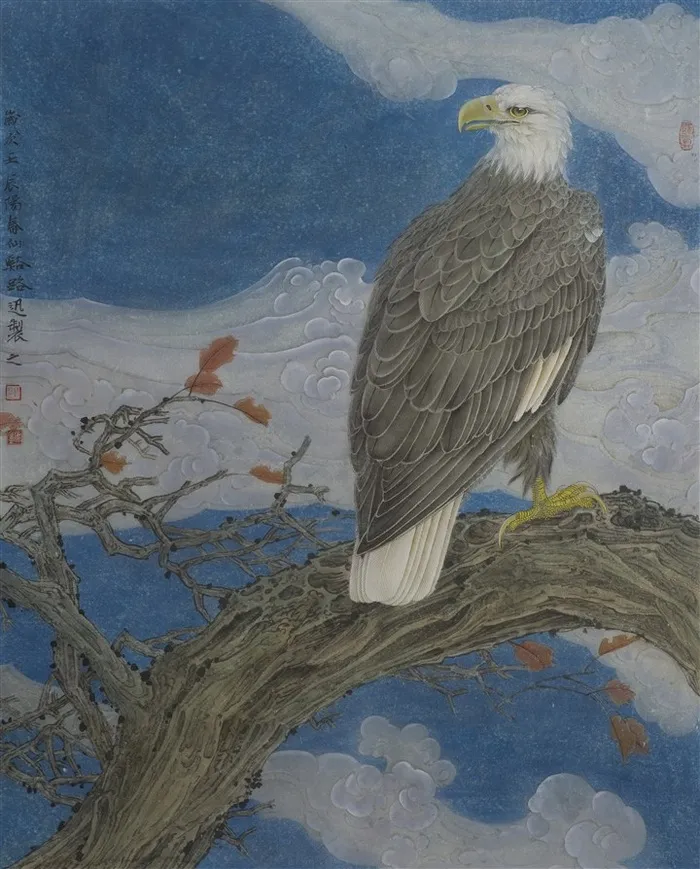 云海秋色老鹰工笔画