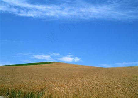 晴空万里概念美图素材