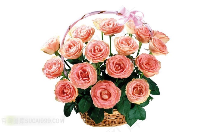 一篮子粉玫瑰鲜花素材