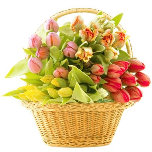 花束 PNG免抠(500x500)