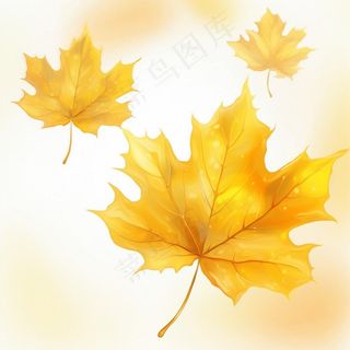 秋天落叶梧桐叶氛围插画素材背景