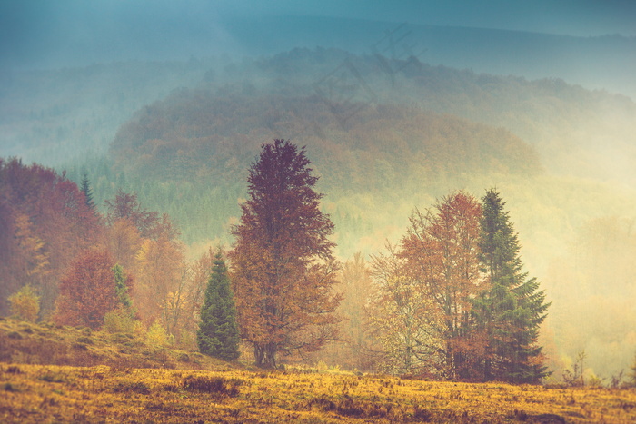唯美朦胧风景图片