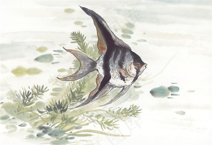 国画鱼虾蟹龟欣赏花素材