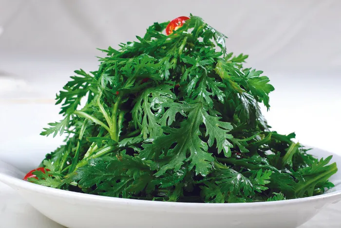 0911LCS-830生拌茼蒿