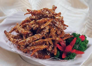 0911LCS-218养颜地参