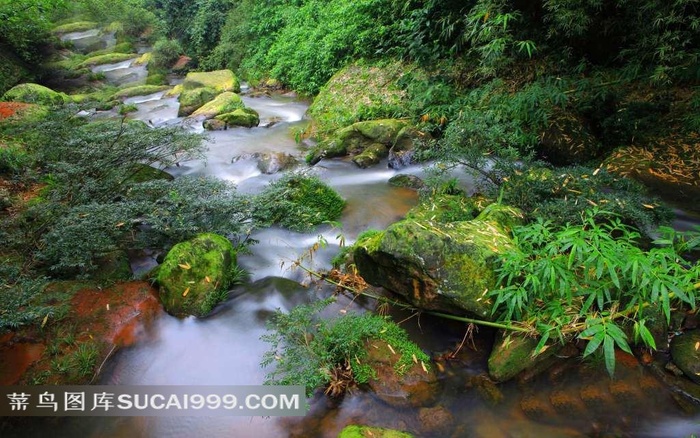 贵州赤水四洞沟自然美景