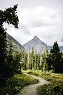 春天树林远山图片 春天树林远山图片