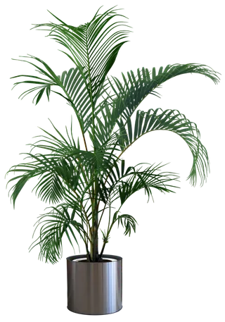 树木树枝树叶免扣素材