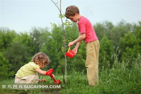 给小树浇水的小孩