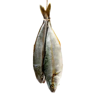 鱼类(30)海鲜超市商品红酒白底图免抠实物摄影png格式图片透明底