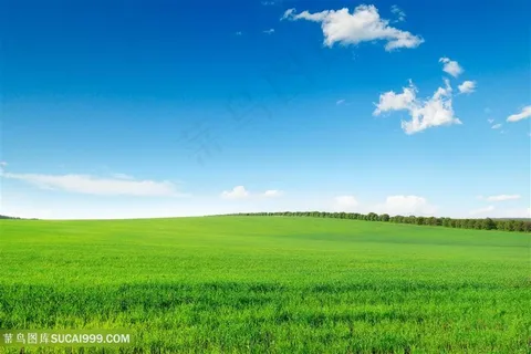 湛蓝的天空和田野高清摄影图片 湛蓝的天空和田野高清摄影图片