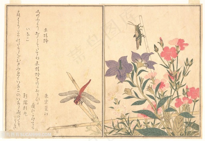 喜多川歌磨蜻蜓花卉装饰画