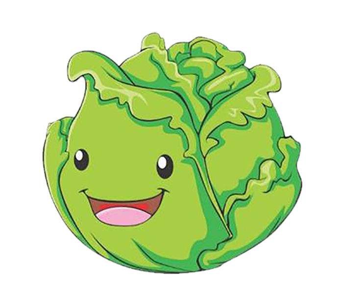 包心菜卡通