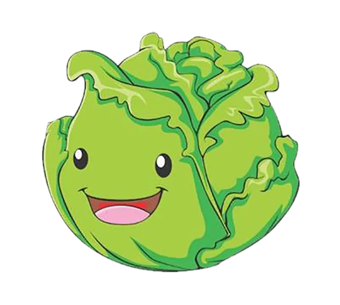 包心菜卡通