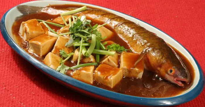 梭鱼烧豆腐