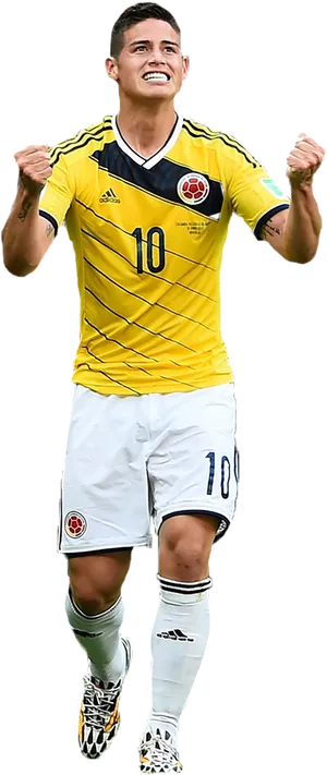 足球明星詹姆斯